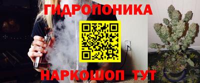 spice Бузулук