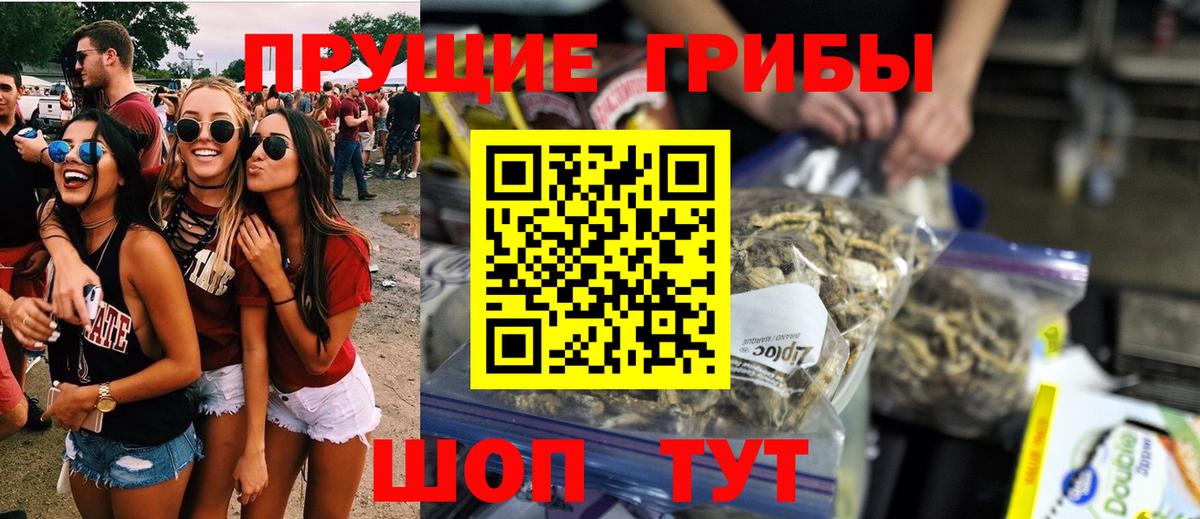 Псилоцибиновые грибы MAGIC MUSHROOMS  Вход с VPN  Саяногорск 